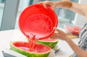 watermelone jello 5